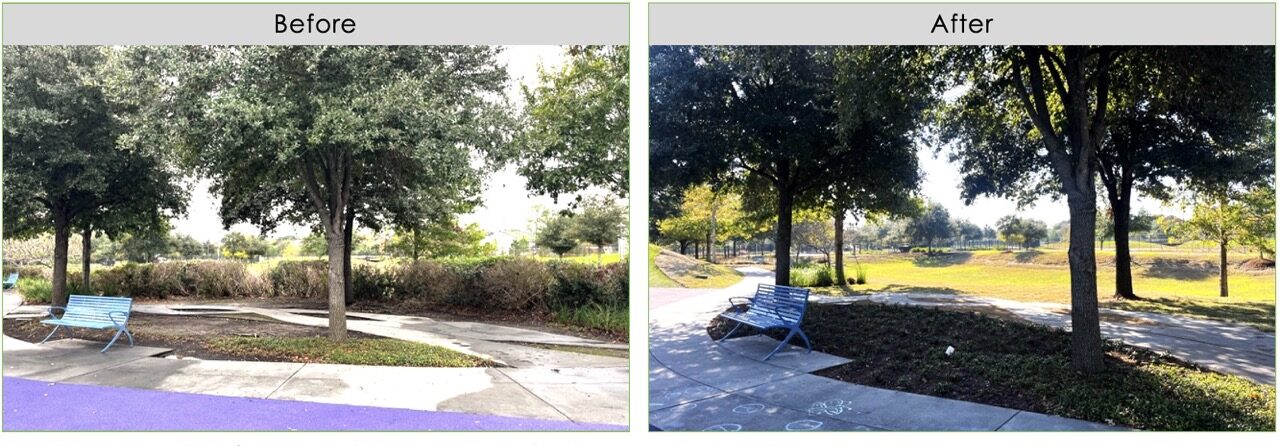 Dylan Park trees shrubs Dylan Park trees shrubs