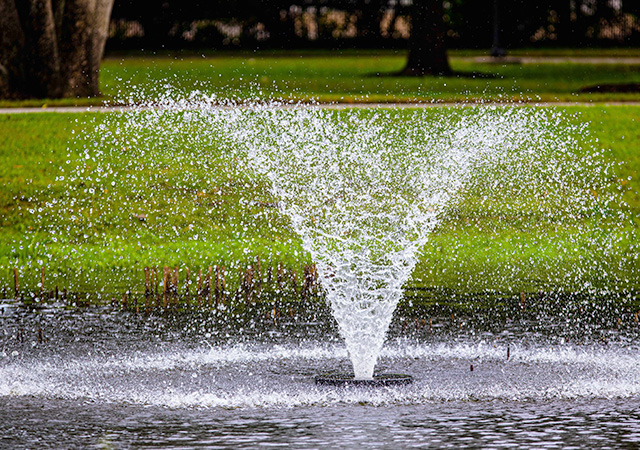 Ida Gaye Gardens fountain