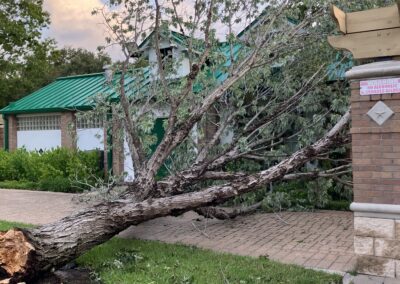 Fallen tree in front of a community building